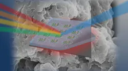 Researchers have learned to control the index of refraction in organic thin films made out of DNA.