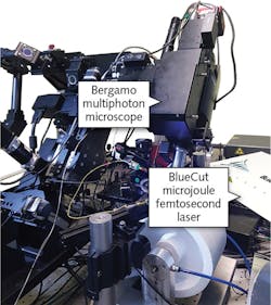 FIGURE 2. Experimental setup with the Thorlabs Bergamo multiphoton fluorescence microscope in rotated geometry. In the background is the BlueCut laser from Menlo Systems microjoule femtosecond fiber laser used for photostimulation.
