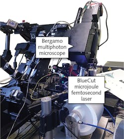 FIGURE 2. Experimental setup with the Thorlabs Bergamo multiphoton fluorescence microscope in rotated geometry. In the background is the BlueCut laser from Menlo Systems microjoule femtosecond fiber laser used for photostimulation. FIGURE 2. Experimental setup with the Thorlabs Bergamo multiphoton fluorescence microscope in rotated geometry. In the background is the BlueCut laser from Menlo Systems microjoule femtosecond fiber laser used for photostimulation.