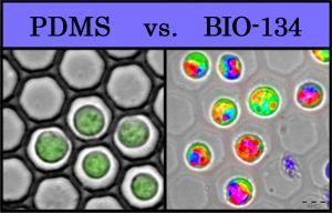 Content Dam Bow Online Articles 2017 11 Pdms Vs Bio 134 Web