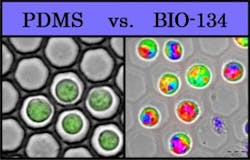 Content Dam Bow Online Articles 2017 11 Pdms Vs Bio 134 Web Content Dam Bow Online Articles 2017 11 Pdms Vs Bio 134 Web