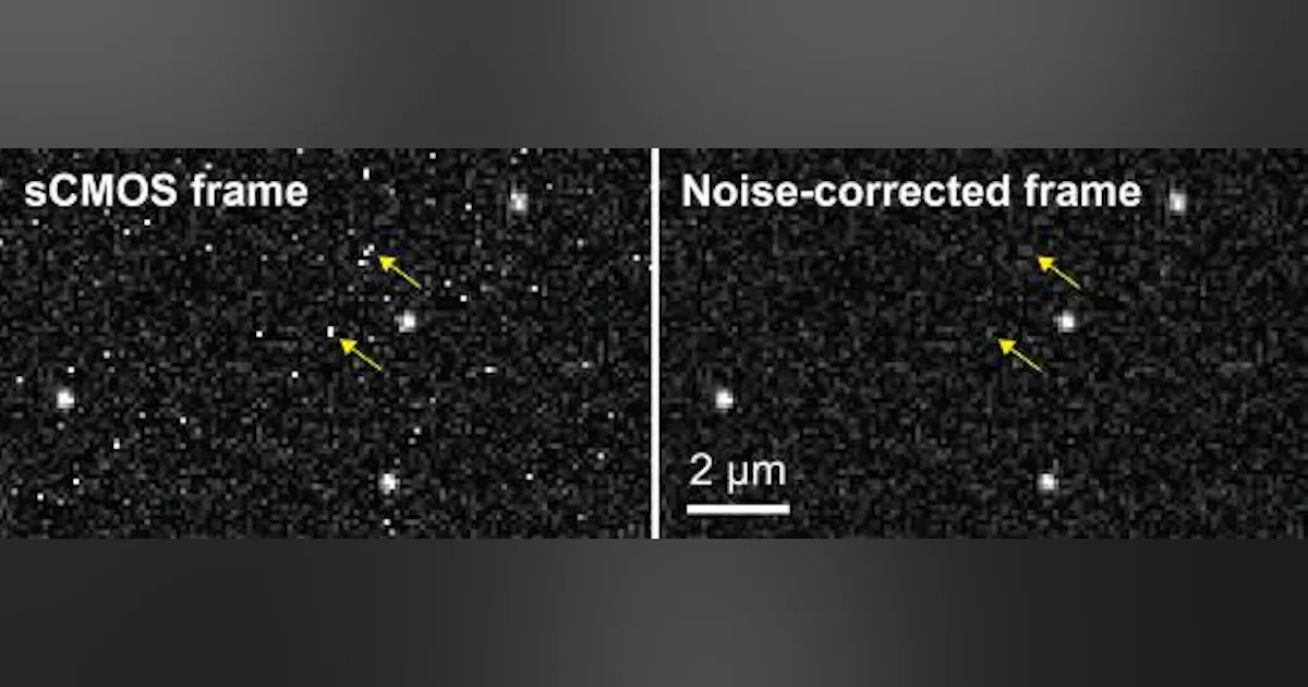 New algorithm expands use of scientific CMOS cameras for biological ...