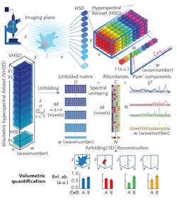 Spatial and spectral (x × y pixels, and wavenumber, or w, respectively) data in each imaging plane combine to produce a volumetric hyperspectral dataset (z × x, with z equaling the sum of y planes). Unfolding the dataset produces a matrix (D=M × w, with M equaling z × x) useful for spectral unmixing analysis: D is unmixed into two matrices, C and ST, based on the quantity (N) of 'pure' components (in this example, N=4). The C matrix includes relative abundance values for the 'pure' components of each voxel in an M × N grid—in which every column corresponds to a single component. The ST matrix is an N × w grid that includes a 'pure' component spectrum in each row. Each C column provides the spatial data necessary to reconstruct the 3D architecture of every component, by refolding to its original x × y × z; and each voxel includes the reconstructed component's concentration profile. Quantification is enabled by comparing the number of voxels within an isosurface (the 3D analog of an isoline; e.g., cells A and B). Spatial and spectral (x × y pixels, and wavenumber, or w, respectively) data in each imaging plane combine to produce a volumetric hyperspectral dataset (z × x, with z equaling the sum of y planes). Unfolding the dataset produces a matrix (D=M × w, with M equaling z × x) useful for spectral unmixing analysis: D is unmixed into two matrices, C and ST, based on the quantity (N) of 'pure' components (in this example, N=4). The C matrix includes relative abundance values for the 'pure' components of each voxel in an M × N grid—in which every column corresponds to a single component. The ST matrix is an N × w grid that includes a 'pure' component spectrum in each row. Each C column provides the spatial data necessary to reconstruct the 3D architecture of every component, by refolding to its original x × y × z; and each voxel includes the reconstructed component's concentration profile. Quantification is enabled by comparing the number of voxels within an isosurface (the 3D analog of an isoline; e.g., cells A and B).