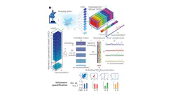Spatial and spectral (x × y pixels, and wavenumber, or w, respectively) data in each imaging plane combine to produce a volumetric hyperspectral dataset (z × x, with z equaling the sum of y planes). Unfolding the dataset produces a matrix (D=M × w, with M equaling z × x) useful for spectral unmixing analysis: D is unmixed into two matrices, C and ST, based on the quantity (N) of 'pure' components (in this example, N=4). The C matrix includes relative abundance values for the 'pure' components of each voxel in an M × N grid—in which every column corresponds to a single component. The ST matrix is an N × w grid that includes a 'pure' component spectrum in each row. Each C column provides the spatial data necessary to reconstruct the 3D architecture of every component, by refolding to its original x × y × z; and each voxel includes the reconstructed component's concentration profile. Quantification is enabled by comparing the number of voxels within an isosurface (the 3D analog of an isoline; e.g., cells A and B).
