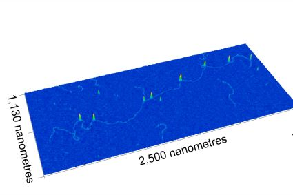 Content Dam Bow Online Articles 2017 12 28 Nov Nanomapping Web