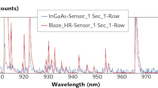 FIGURE 1. Atomic emission lamp spectra acquired using InGaAs (blue) and CCD arrays (red) with a HRS-300 spectrograph and 600 g/mm grating at 1000 nm blaze are compared.