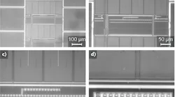 These images were acquired using various Olympus IR objective lenses, a BX2M-IR upright compound microscope, an XM10-IR digital camera, and Olympus Stream software: 10x (a), 20x (b), 50x (c), and 100x (d).