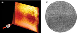 Two perpendicularly oriented Laue lenses focus an x-ray beam into a small spot (a). An object under investigation can then be placed into the optical path and its image recorded by the detector (courtesy of DESY, Andrew Morgan/Saša Bajt). Using this new setup, the silica shell of the diatom Actinoptychus senarius, which measures 0.1 mm across, is shown in fine detail in this x-ray hologram recorded at 5000-fold magnification. The lenses focused an x-ray beam to a spot about 8 nm in diameter, which then expanded to illuminate the diatom and form the hologram (courtesy of DESY/AWI, Andrew Morgan/Saša Bajt/Henry Chapman/Christian Hamm).