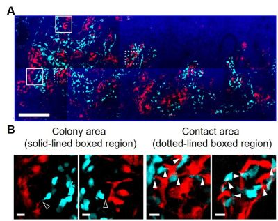 Content Dam Bow Online Articles 2018 02 20180119 Fig 1web
