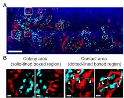 Content Dam Bow Online Articles 2018 02 20180119 Fig 1web Content Dam Bow Online Articles 2018 02 20180119 Fig 1web