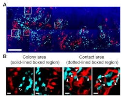 Content Dam Bow Online Articles 2018 02 20180119 Fig 1web Content Dam Bow Online Articles 2018 02 20180119 Fig 1web