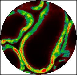 Content Dam Bow Online Articles 2018 02 Da8b374614f4287f5806c3238a7d937e Content Dam Bow Online Articles 2018 02 Da8b374614f4287f5806c3238a7d937e