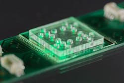 Content Dam Bow Online Articles 2018 03 Csm Leibniz Ipht Infektionsdiagnostik 02 A26033bc61 Web Content Dam Bow Online Articles 2018 03 Csm Leibniz Ipht Infektionsdiagnostik 02 A26033bc61 Web