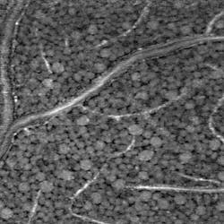 Content Dam Bow Online Articles 2018 03 Y8tgjaiqi1 Actual Web Content Dam Bow Online Articles 2018 03 Y8tgjaiqi1 Actual Web