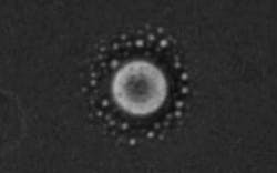 Content Dam Lfw Online Articles 2018 03 Crystal Still Content Dam Lfw Online Articles 2018 03 Crystal Still