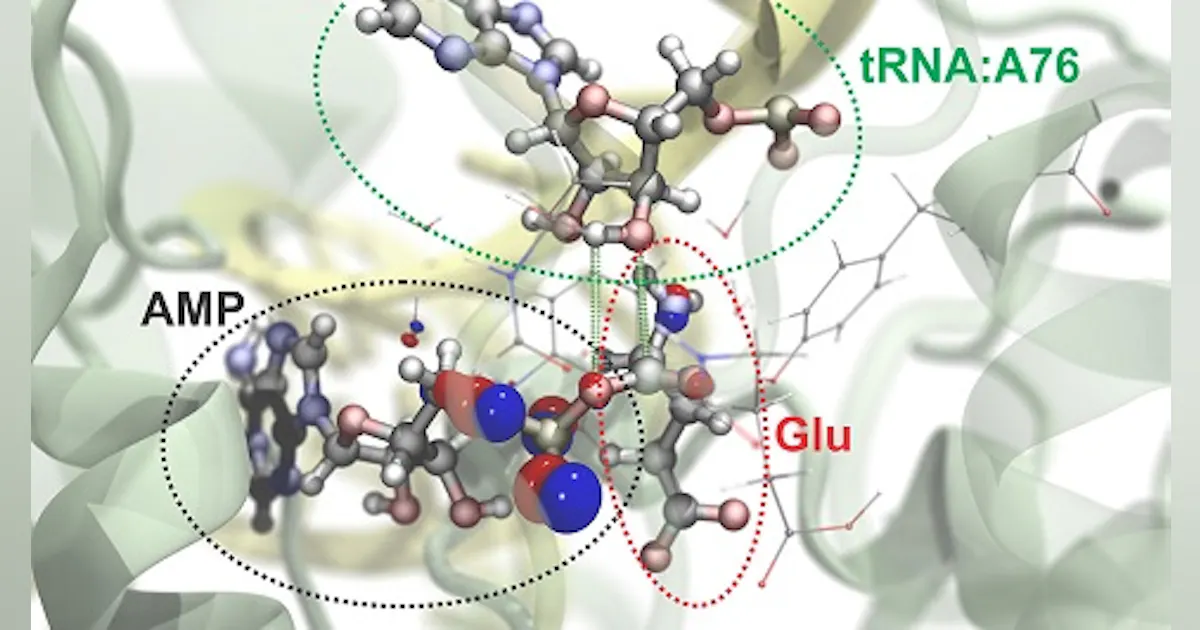 Computational microscope achieves sub-atomic imaging resolution | Laser ...