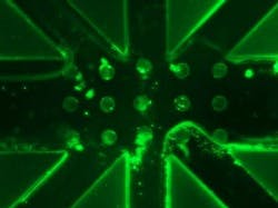 Content Dam Bow Online Articles 2018 04 Csm Picture Sharma E4e0ee0253 Web Content Dam Bow Online Articles 2018 04 Csm Picture Sharma E4e0ee0253 Web