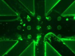 Content Dam Bow Online Articles 2018 04 Csm Picture Sharma E4e0ee0253 Web Content Dam Bow Online Articles 2018 04 Csm Picture Sharma E4e0ee0253 Web