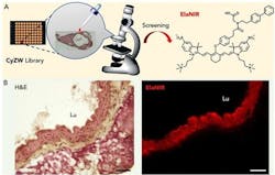 Content Dam Bow Online Articles 2018 04 Rsz Fig1 Content Dam Bow Online Articles 2018 04 Rsz Fig1