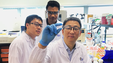 Content Dam Bow Online Articles 2018 04 Rsz Zhang Yong Microfluidic Chip1