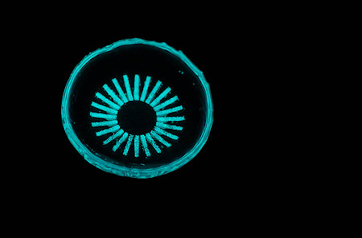 Light-emitting contact lens could prevent diabetes-related blindness