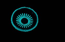 Content Dam Lfw Online Articles 2018 04 Tritium Content Dam Lfw Online Articles 2018 04 Tritium