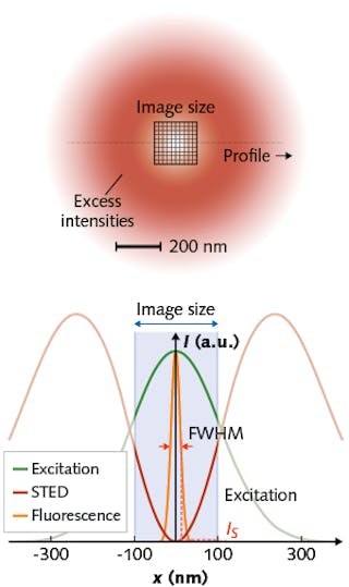 Shaped like a donut, the STED focal beam excludes intense light from the focal region in the center so that molecules fluoresce only when they are within that area. But specimens become photobleached because the intensity maxima are strong, and light is distributed across more than half the wavelength of the STED beam. MINFIELD works by confining the image field to an area below the diffraction limit (around the donut center), where beam intensity is more moderate. Thus, it boosts fluorescence signal acquisition at greater resolution&mdash;and enables a dramatic decline in photobleaching.