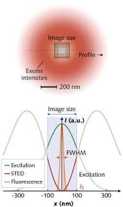 Shaped like a donut, the STED focal beam excludes intense light from the focal region in the center so that molecules fluoresce only when they are within that area. But specimens become photobleached because the intensity maxima are strong, and light is distributed across more than half the wavelength of the STED beam. MINFIELD works by confining the image field to an area below the diffraction limit (around the donut center), where beam intensity is more moderate. Thus, it boosts fluorescence signal acquisition at greater resolution—and enables a dramatic decline in photobleaching. Shaped like a donut, the STED focal beam excludes intense light from the focal region in the center so that molecules fluoresce only when they are within that area. But specimens become photobleached because the intensity maxima are strong, and light is distributed across more than half the wavelength of the STED beam. MINFIELD works by confining the image field to an area below the diffraction limit (around the donut center), where beam intensity is more moderate. Thus, it boosts fluorescence signal acquisition at greater resolution—and enables a dramatic decline in photobleaching.