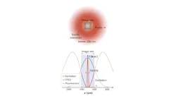 Shaped like a donut, the STED focal beam excludes intense light from the focal region in the center so that molecules fluoresce only when they are within that area. But specimens become photobleached because the intensity maxima are strong, and light is distributed across more than half the wavelength of the STED beam. MINFIELD works by confining the image field to an area below the diffraction limit (around the donut center), where beam intensity is more moderate. Thus, it boosts fluorescence signal acquisition at greater resolution—and enables a dramatic decline in photobleaching.