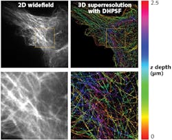 FIGURE 2. A 3D DH-PSF superresolution image (right) of microtubules captures the detailed 3D information not seen in conventional 2D widefield imaging (left); the bottom row shows magnified insets illustrating the image detail further, and the z depth is encoded in color (scale on the right).