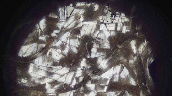 These Madagascar comet moth cocoon fibers have a highly metallic sheen. (Image credit: Norman Shi and Nanfang Yu/Columbia Engineering)