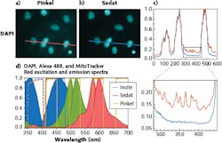 FIGURE 2. Out-of-band signal rejection of multi- (red) vs. single-band (blue) emission filters, where the DAPI channel contains signal from the Alexa 488 and MitoTracker Red channels when acquired with a Pinkel setup (a); a Sedat configuration exhibits substantial improvement in out-of-band signal blocking (b), and signal intensity profiles along the red (Pinkel) and blue (Sedat) lines in (a) and (b) are shown (c); excitation and emission spectra for the DAPI, Alexa 488, and MitoTracker Red fluorophores (blue, green, and red area plots) are shown in (d), where dashed lines represent the transmission bands of the excitation filters and solid lines represent the transmission bands of the emission filters (signal intensities are normalized). FIGURE 2. Out-of-band signal rejection of multi- (red) vs. single-band (blue) emission filters, where the DAPI channel contains signal from the Alexa 488 and MitoTracker Red channels when acquired with a Pinkel setup (a); a Sedat configuration exhibits substantial improvement in out-of-band signal blocking (b), and signal intensity profiles along the red (Pinkel) and blue (Sedat) lines in (a) and (b) are shown (c); excitation and emission spectra for the DAPI, Alexa 488, and MitoTracker Red fluorophores (blue, green, and red area plots) are shown in (d), where dashed lines represent the transmission bands of the excitation filters and solid lines represent the transmission bands of the emission filters (signal intensities are normalized).