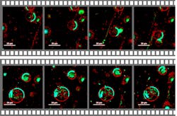 Piclfwxxx522201893731 Piclfwxxx522201893731