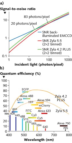 FIGURE 1. A comparison (a) of the signal-to-noise ratio vs. photon intensity for two types of Zyla cameras made by Andor Technology to that of the company’s iXon back-illuminated electron-multiplying CCD (EMCCD) shows that the EMCCD is best for the lowest photon rates, including single photon counting, while sCMOS takes over for higher (but still very low) photon rates). The quantum efficiency (QE) of Andor’s Zyla cameras is optimized for use with a range of fluorophores (b). FIGURE 1. A comparison (a) of the signal-to-noise ratio vs. photon intensity for two types of Zyla cameras made by Andor Technology to that of the company’s iXon back-illuminated electron-multiplying CCD (EMCCD) shows that the EMCCD is best for the lowest photon rates, including single photon counting, while sCMOS takes over for higher (but still very low) photon rates). The quantum efficiency (QE) of Andor’s Zyla cameras is optimized for use with a range of fluorophores (b).