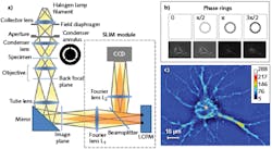 FIGURE 1. SLIM provides high axial resolution optical sectioning and renders 3D tomographic maps of live, unstained cells (a); the phase rings and their corresponding images recorded by the camera (b) and a SLIM quantitative phase image of a hippocampal neuron (c) are also shown. FIGURE 1. SLIM provides high axial resolution optical sectioning and renders 3D tomographic maps of live, unstained cells (a); the phase rings and their corresponding images recorded by the camera (b) and a SLIM quantitative phase image of a hippocampal neuron (c) are also shown.
