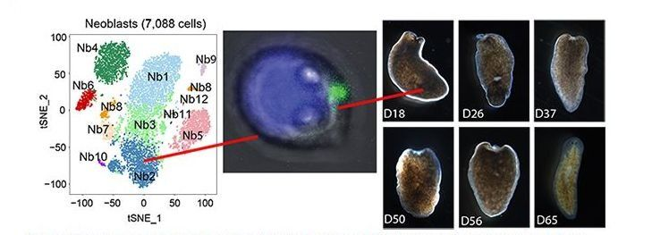 Content Dam Bow Article 2018 6 Rsz Clipboard01