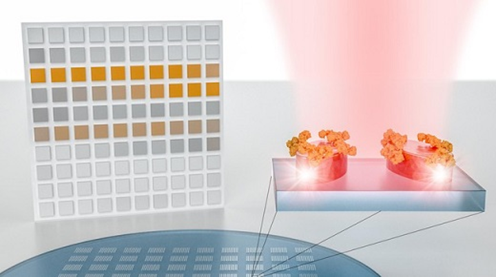 A new system developed at EPFL can detect and analyze molecules with very high precision and without needing bulky equipment. It opens the door to large-scale, image-based detection of materials aided by artificial intelligence. (Image credit: EPFL)