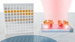 A new system developed at EPFL can detect and analyze molecules with very high precision and without needing bulky equipment. It opens the door to large-scale, image-based detection of materials aided by artificial intelligence. A new system developed at EPFL can detect and analyze molecules with very high precision and without needing bulky equipment. It opens the door to large-scale, image-based detection of materials aided by artificial intelligence.