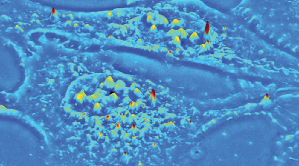A 3D surface projection of live U-2 OS cell from a SLIM quantitative phase image is shown.