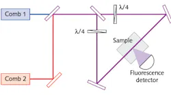 The dual-comb Doppler-free spectroscopy setup with two-photon excitation is shown.