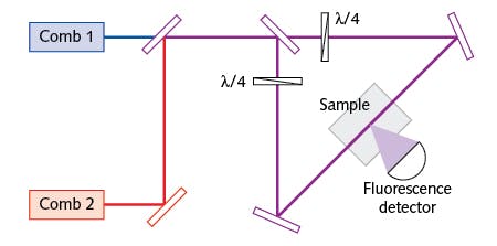 The dual-comb Doppler-free spectroscopy setup with two-photon excitation is shown.