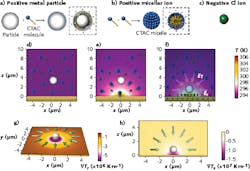 The operation of optothermoelectric nanotweezers (OTENT) consists of surface modification of a metal nanoparticle by CTAC adsorption (a) and formation of CTAC micelles (b) and the counter-ions (c) that are randomly distributed without laser heating (d). Upon thermophoretic migration under laser heating (e), a thermoelectric field traps the metal nanoparticle (f) and creates both in-plane (g) and out-of-plane trapping force (h). The operation of optothermoelectric nanotweezers (OTENT) consists of surface modification of a metal nanoparticle by CTAC adsorption (a) and formation of CTAC micelles (b) and the counter-ions (c) that are randomly distributed without laser heating (d). Upon thermophoretic migration under laser heating (e), a thermoelectric field traps the metal nanoparticle (f) and creates both in-plane (g) and out-of-plane trapping force (h).