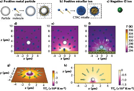 The operation of optothermoelectric nanotweezers (OTENT) consists of surface modification of a metal nanoparticle by CTAC adsorption (a) and formation of CTAC micelles (b) and the counter-ions (c) that are randomly distributed without laser heating (d). Upon thermophoretic migration under laser heating (e), a thermoelectric field traps the metal nanoparticle (f) and creates both in-plane (g) and out-of-plane trapping force (h).