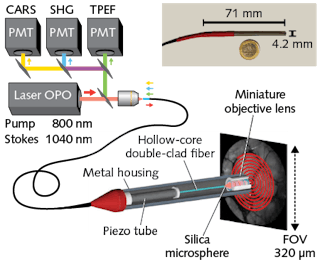 FIGURE 1. The multimodal endoscope concept, developed by researchers at Institut Fresnel, includes a piezo tube actuator that scans a miniature objective in a typical spiral pattern; the system based on this schematic performs multimodal imaging at high resolution, making a step toward real-time, intraoperative, label-free imaging.