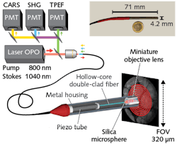 FIGURE 1. The multimodal endoscope concept, developed by researchers at Institut Fresnel, includes a piezo tube actuator that scans a miniature objective in a typical spiral pattern; the system based on this schematic performs multimodal imaging at high resolution, making a step toward real-time, intraoperative, label-free imaging. FIGURE 1. The multimodal endoscope concept, developed by researchers at Institut Fresnel, includes a piezo tube actuator that scans a miniature objective in a typical spiral pattern; the system based on this schematic performs multimodal imaging at high resolution, making a step toward real-time, intraoperative, label-free imaging.