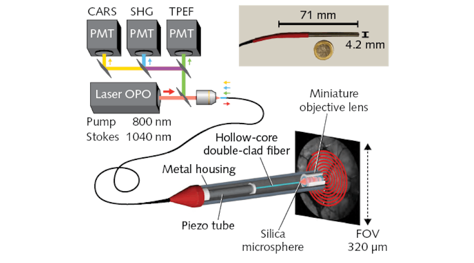 FIGURE 1. The multimodal endoscope concept, developed by researchers at Institut Fresnel, includes a piezo tube actuator that scans a miniature objective in a typical spiral pattern; the system based on this schematic performs multimodal imaging at high resolution, making a step toward real-time, intraoperative, label-free imaging.