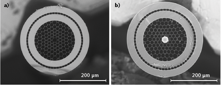 FIGURE 2. A cross-sectional view of the double-clad hollow core fiber that enables efficient delivery of femtosecond pulses and retrieval of nonlinear signals (a) is shown; the same fiber incorporating a 30 &micro;m silica bead at its distal tip (b) is also shown.