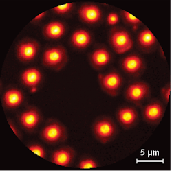 FIGURE 3. High-contrast CARS images show 2 µm polystyrene beads randomly deposited on a glass coverslip. FIGURE 3. High-contrast CARS images show 2 µm polystyrene beads randomly deposited on a glass coverslip.