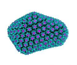 Content Dam Bow Article 2018 7 175204 Web2 Content Dam Bow Article 2018 7 175204 Web2