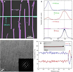A false-color SEM image shows (a) the InP and AlGaAs nanowire networks. Spectra of the nanowires at a single exemplary measurement spot (b) characterize the HRSTEM image of InP nanowires (c). The shows the diffraction pattern demonstrating the ZB crystal structure and the formation of frequent twin planes along the nanowire growth axis, and EDX measurement results (d) show the Al and Ga composition along the nanowire growth direction.